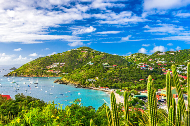 gustavia harbor st barts